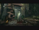 PC版 Darksouls Prepare to Die Edition 新要素冒険記.2　~Sanctuary Garden~
