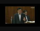 08.28　参議院　総務委員会　礒崎陽輔議員（自民）