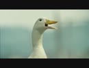 ＜もっとやさしいEVER＞TVCM