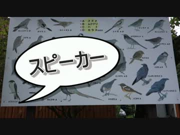 またーり内山牧場キャンプオフやってみたよ！