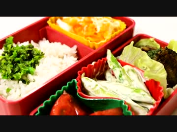 毎日お弁当を作ることになった11