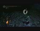 PC版 Darksouls Prepare to Die Edition 新要素冒険記.8 ~Chasm of the Abyss~