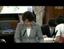2012年08月28日【参議院】外交防衛委員会 島尻安伊子(自民党)
