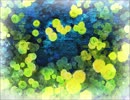 白夢の繭～ＲＩＣＯＲＤＡＮＤＯ　ＩＬ　ＰＡＳＳＡＴＯ～を歌ってみた