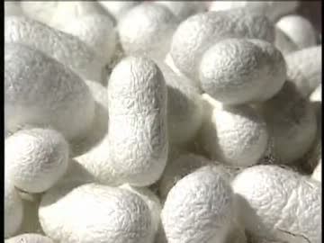 文明の道「第05集 シルクロードの謎 隊商の民ソグド」(02 of 02)