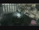 【ICO好きによる】 ワンダと巨像 【初見実況】 第30馬