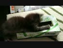 μ ティッシュ箱と…
