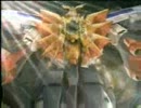 2000年前後の時の男の子のアニメOPメドレー