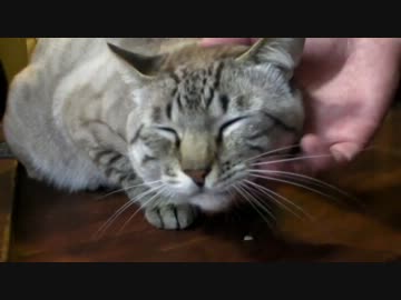 Ｎinja400Rで北海道ツーリング2012　～パート2～