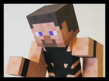 【マイクラで】Mr.Minecraftで遊んでみた【HOT LIMIT!!!】