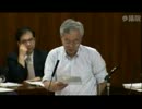 2012年08月28日【参議院】総務委員会 山崎力(自民党)