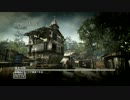 「MW3」夏終わりの打ち上げ花火-4