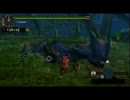 訓練所　ナルガ　ハンマー　２：４８