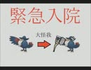 【ポケモンBW２】ロケット団応援【実況】パート4