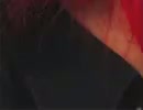 010.mp4