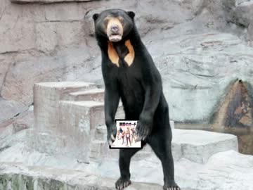 ちょっと何言ってるか分からないです