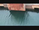 ボルドールと行く北海道ツーリング