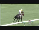 3歳未勝利_インクレセント