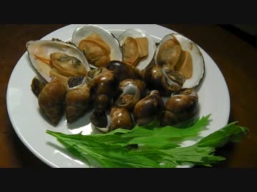 【貝煮】　酒とツマミの旅人亭　～大暑の陣～