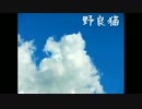 【野良猫】歌ってみた　ふにゃ(総統P)