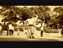 【どうぶつ】shake it!【踊ってみた】
