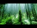  【オリジナル】　Extreme Deray