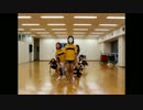 ニコ厨よ、これが動画だ。