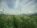 inaka_0236kbps_0512x0384.mp4
