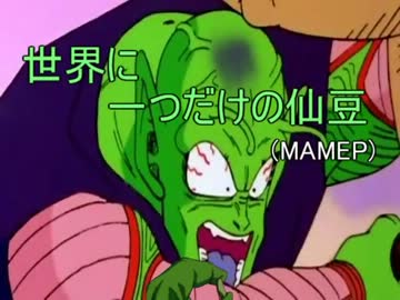 世界に一つだけの仙豆