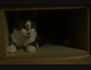 たんすの中に・・・・・・。