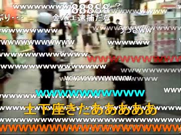 【金バエ】スーパーごめんなさい【らん】