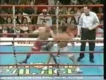 人気の「シュガー・レイ・レナード」動画 26本 - ニコニコ動画