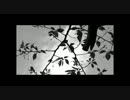 君をのせて feat Charles Chaplin / Re-remix by Ryoma Maeda(milch of source)
