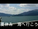 だめなつやすみの歌　【オリジナル】　【油性ペン】　歌ってみた