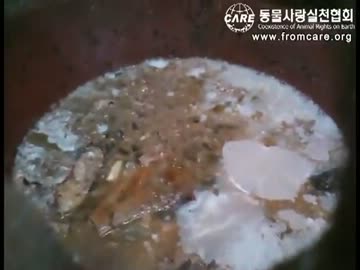 「グロ注意！」韓国の食文化、犬料理が出来るまで「犬好きは見ないで」