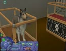 【sims2】普通のシムの普通の人生 part6【実況】