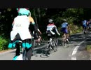 【自転車載】乗鞍2012はDNFでした。