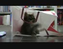 μと紙袋