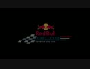 RedBull F1 Showrun Austin 2011