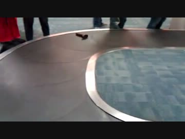 空港の手荷物受取所を流れる、ある物体