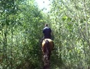ｈｏｒｓｅｂａｃｋ　ｒｉｄｉｎｇ 2012 sept 036.MPG