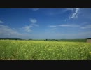 【ねんがんのバイクをてにいれたぞ】 北海道編 その3