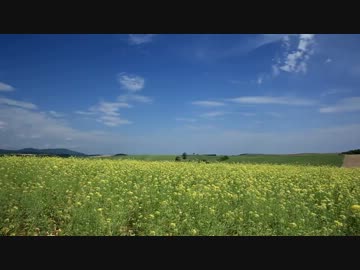 【ねんがんのバイクをてにいれたぞ】 北海道編 その3
