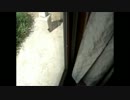 4.美人さん、「蛾」