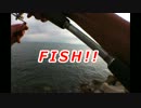 【魚釣り】RUN&STAY! iPhone撮影テスト編【FISH.1】