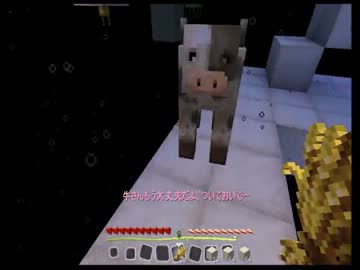 【Skyblock亜種】犬とあまり喋らないゆっくりMinecraft 2肉球