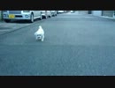 2_60fps.mp4
