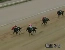 第32回福山３歳牝馬特別 ミッドコサージュ