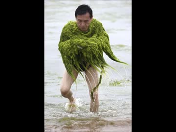 中国のすばらしい環境③　チャイニーズマフィア