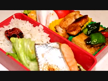 毎日お弁当を作ることになった12